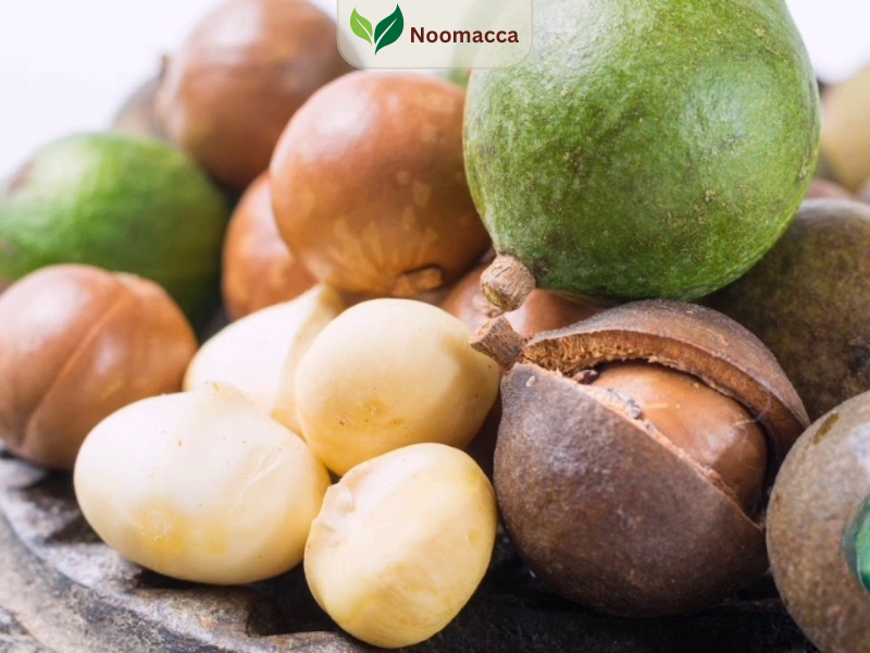 Noomacca- Thương hiệu hạt macca số 1 Việt Nam